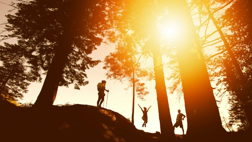 5 randonnées à faire en Provence : nature et patrimoine