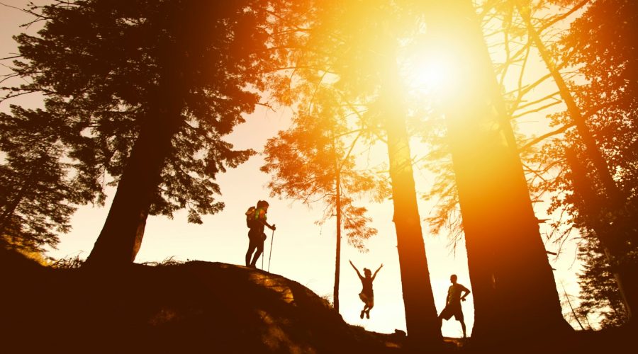 5 randonnées à faire en Provence : nature et patrimoine