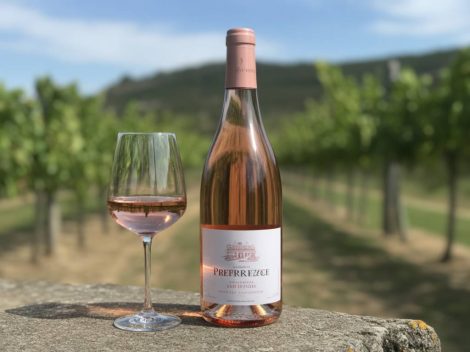 Les vins rosés de Provence : entre fraîcheur estivale et savoir-faire ancestral